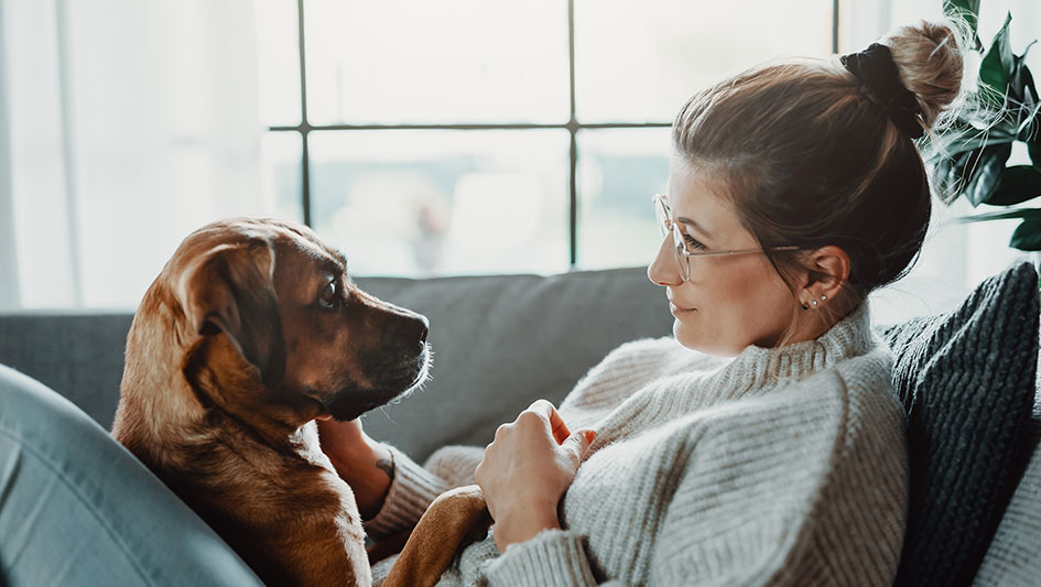 Woman sitting on a couch with her dog on her lap